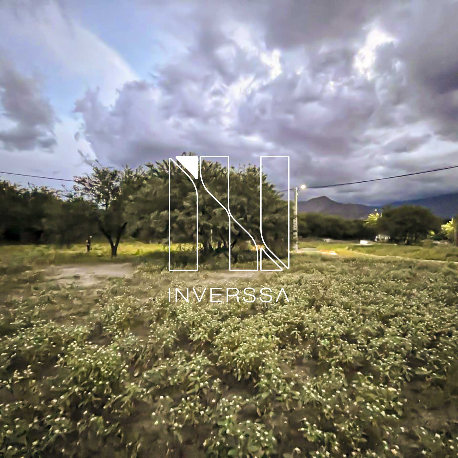 PHOTO-2025-09-16-16-44-29 4