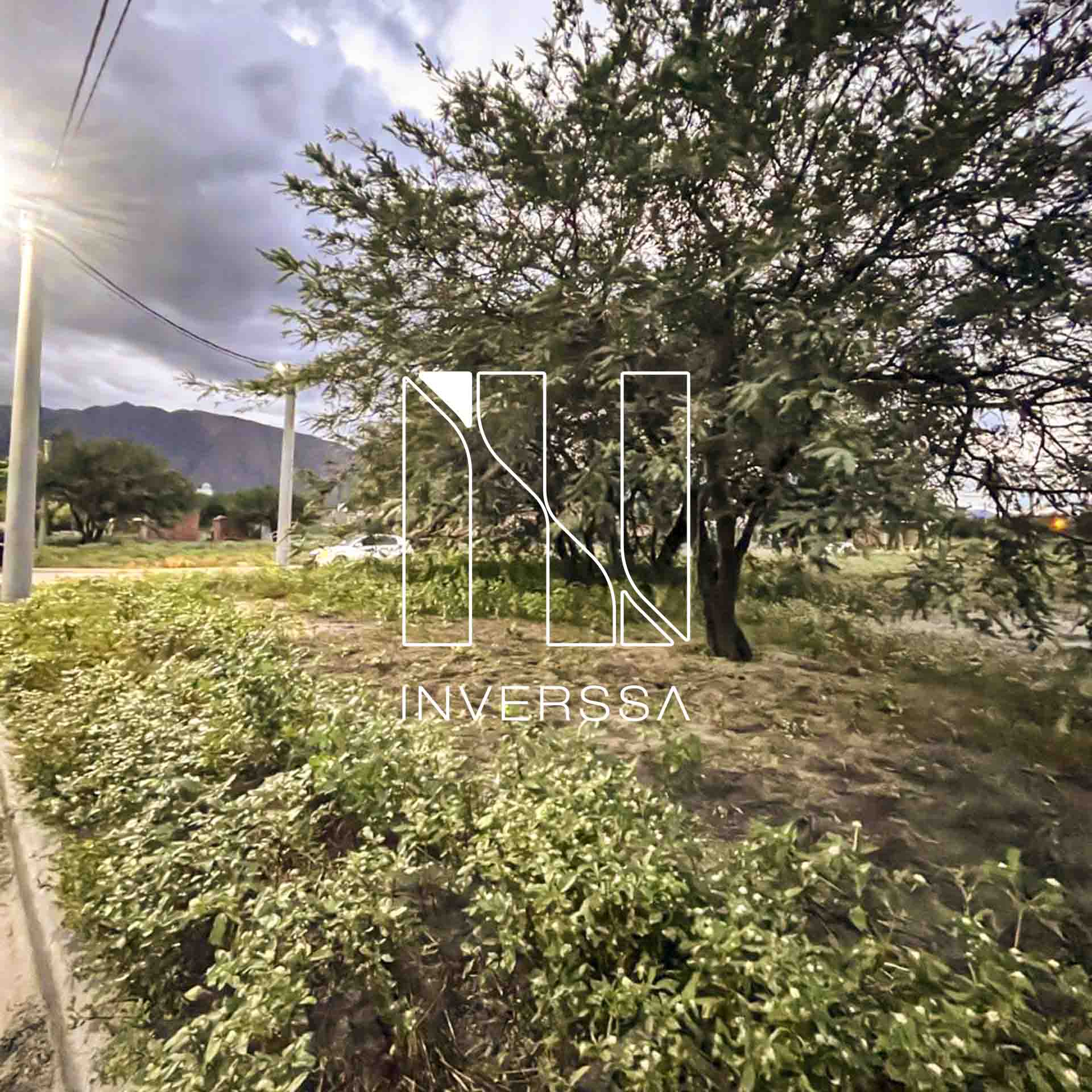 PHOTO-2025-09-16-16-44-30 4