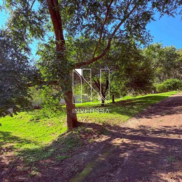 IMG_2502 en tamaño mediano