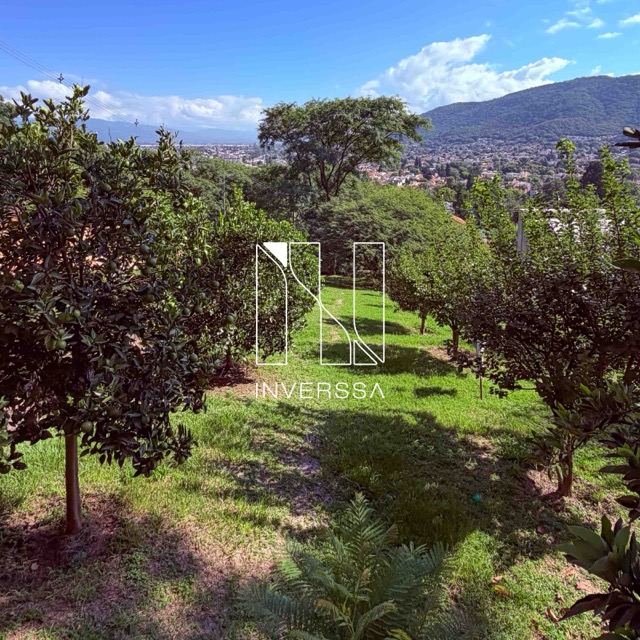 IMG_2506 en tamaño mediano