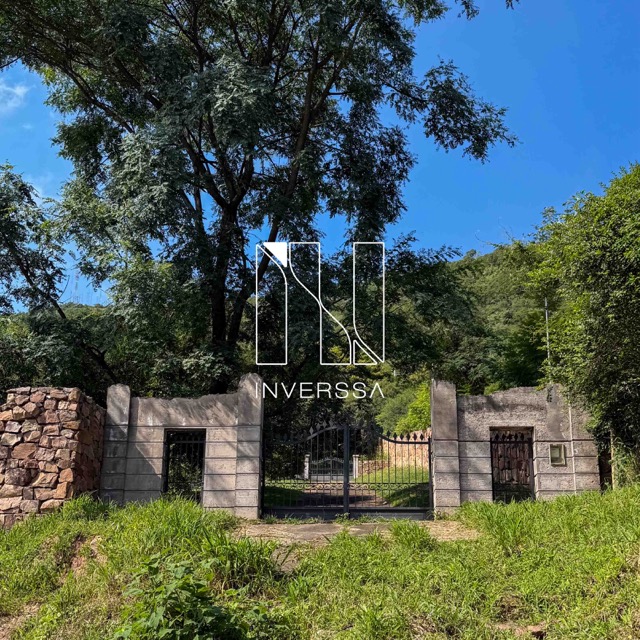 IMG_2510-Editar en tamaño mediano